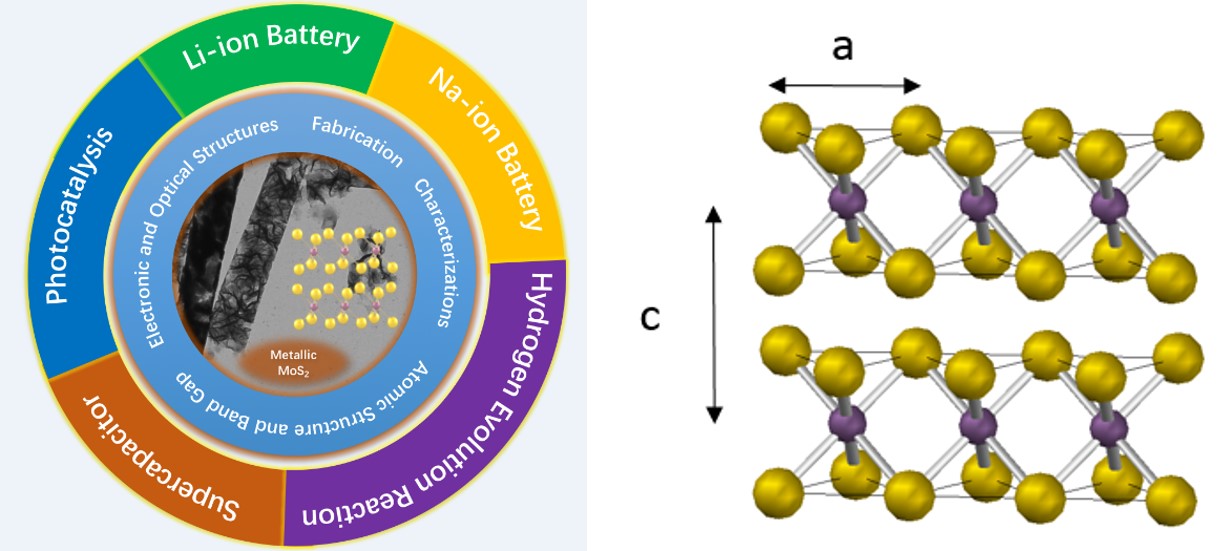 NEU ZHU LAB | RESEARCH