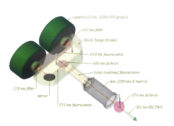 Paper 3 figure