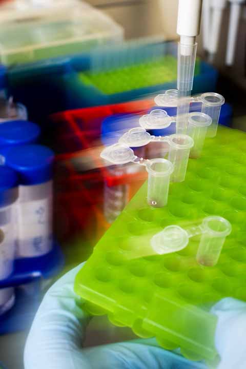 mix of colorful lab supplies