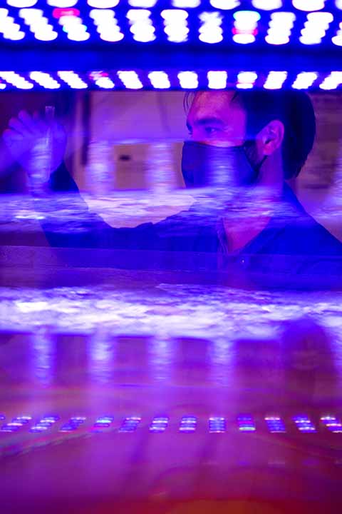 faculty in lab with purple lighting researching sediment