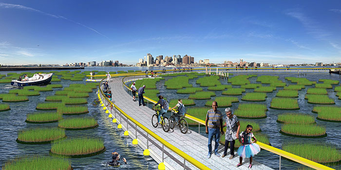 illustration of floating wetland and walkway