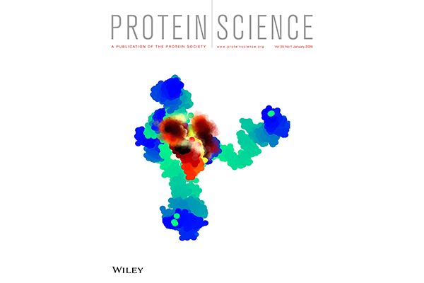 ChE Research Team Featured on Protein Science Cover