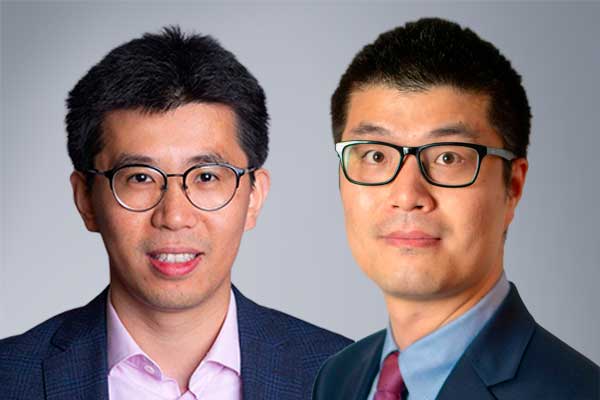 Image for Optimizing Energy Absorption in Lattice Structures via Intermediate Stochasticity